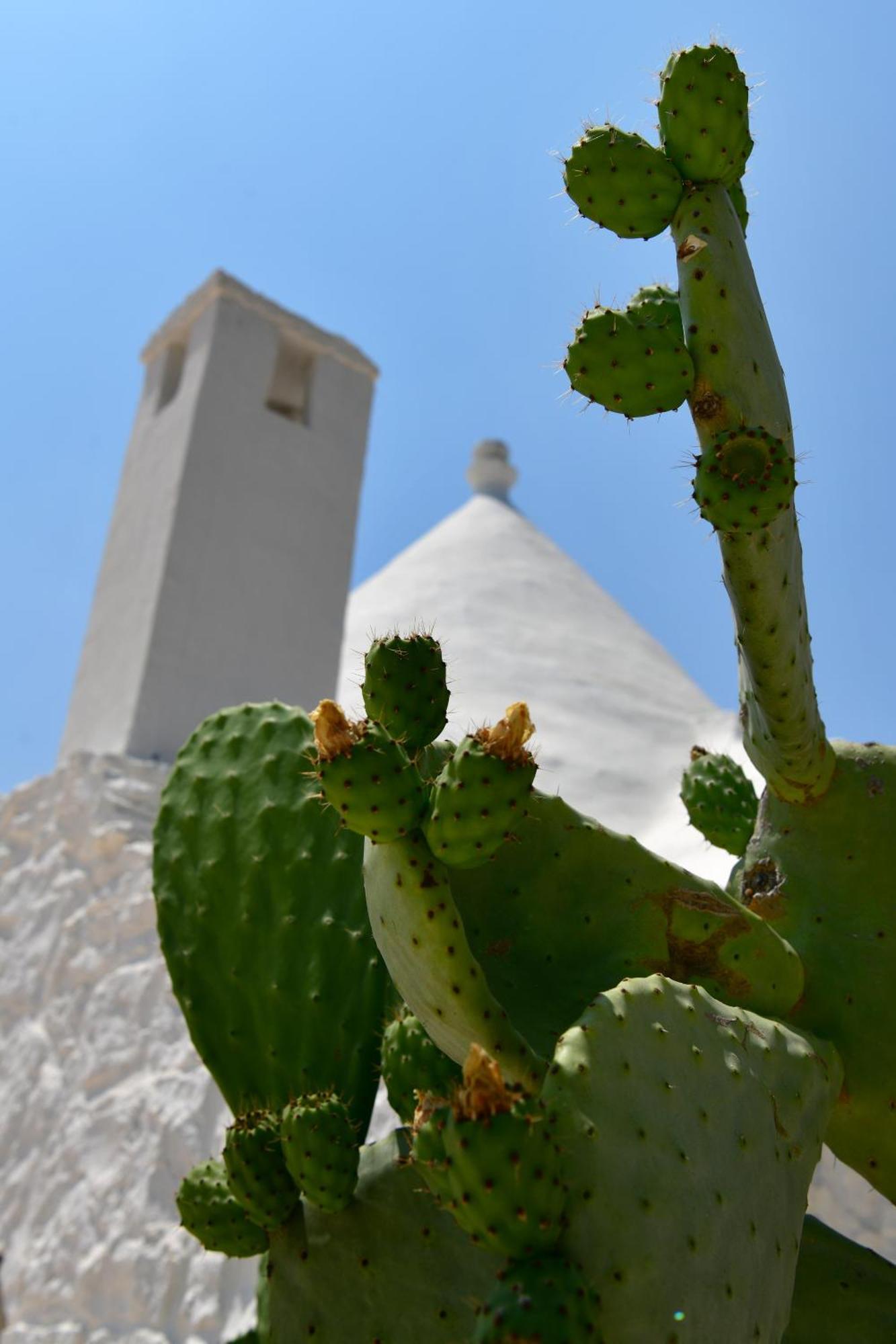 Il Trullo Bianco - Country House & Spa كاستيلانا غروتي المظهر الخارجي الصورة